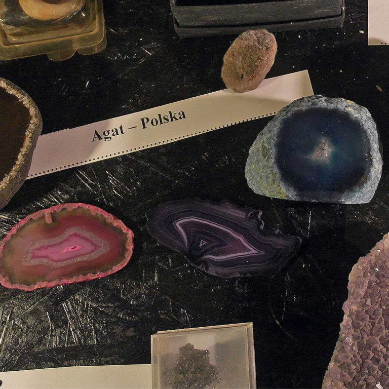 Jurajska Wystawa Amonitów na Nocowanie na Jurze 2 768x768