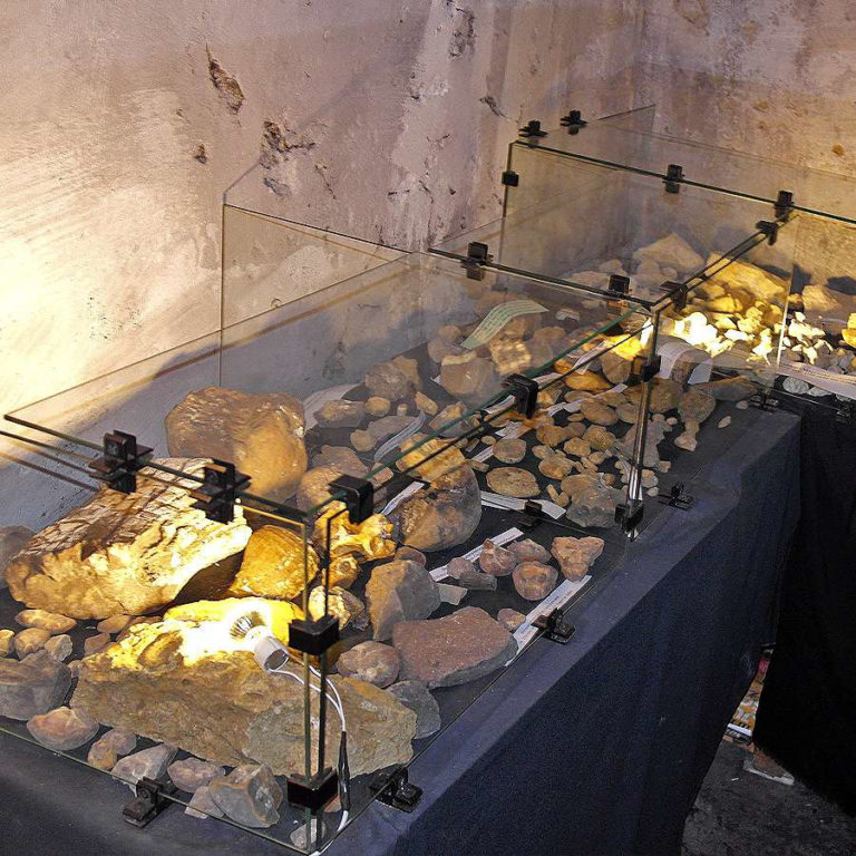 Jurajska Wystawa Amonitów na Nocowanie na Jurze 3 768x768